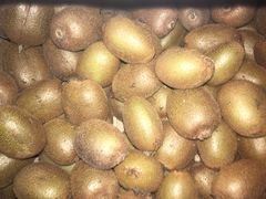 -黑河国家森林公园