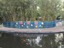 点击看大图 -深圳市儿童乐园