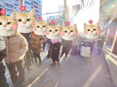 -老四季(总店)