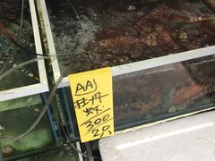 -拉威海鲜市场