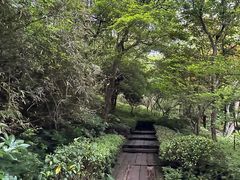 -杭州半山国家森林公园