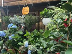 -龙姐私房菜(和顺古镇店)