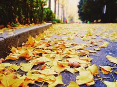 -苏州河梦清园环保主题公园