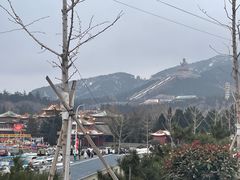 -龙口南山旅游景区