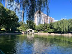 -团结湖公园
