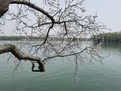 -颐和园
