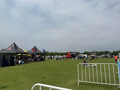 -春花秋色城市公园