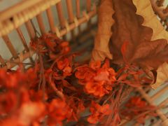 -CAKE WANG千层制造所(省府店)