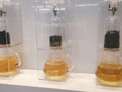 -喜茶(贵阳国贸逸天城店)