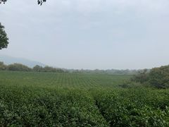 -敬亭山风景名胜区