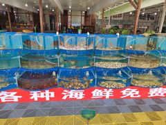 -沿海渔家院海鲜烧烤·东北菜(东戴河店)