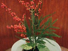 -上海精菜馆(虎踞关店)