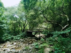 -少华山国家森林公园