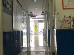 -宠福鑫动物医院(立水桥分院)