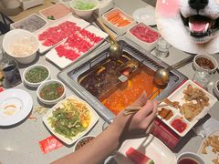 -海底捞火锅(丹竹头星悦天地店)