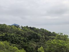 -广东惠东海龟国家级自然保护区