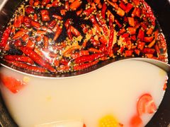 -销魂美蛙鱼头火锅(上海首店)