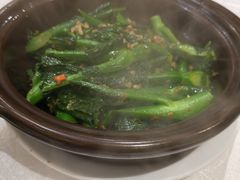 -老广新意(奥园店)