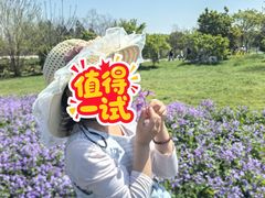 -江苏三台山国家森林公园