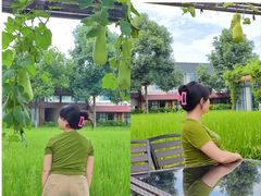 -洪湖家庭农场·团建·露营·会议