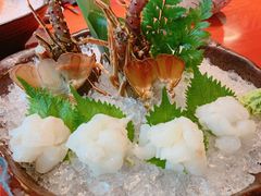 -初花·日本料理