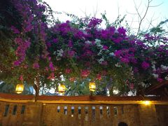 -Lam Vien Restaurant