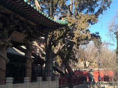 -晋祠公园