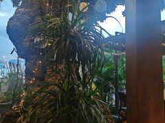 -泰堤坊(淡水体育馆店)