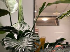 -the fall kaffe乐否咖啡