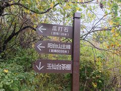 -阳台山自然风景区