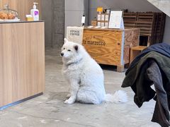 -VOYAGE COFFEE 咖啡烘焙工坊店(798艺术区店)