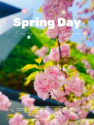 -WAVE SODA摄影工作室