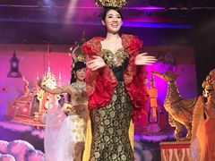 -金东尼人妖秀