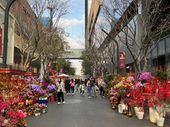 -Apple零售店(深圳益田假日广场店)