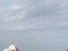 -野狸岛