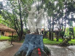 -瑞丽独树成林风景区