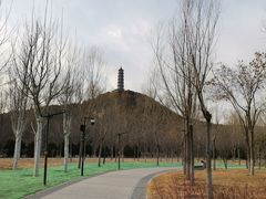 -北坞公园