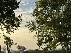 -汉长安城未央宫国家考古遗址公园