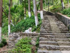 -莫干山风景区