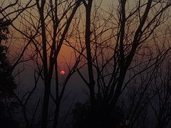 -杭州半山国家森林公园