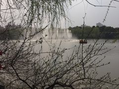 -南汇桃花村