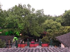 -山外山菜馆(玉泉路店)