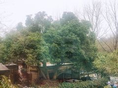 -兰桂坊·花园餐厅(西湖店)
