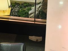 -左庭右院鲜牛肉火锅(浦江欢乐颂店)