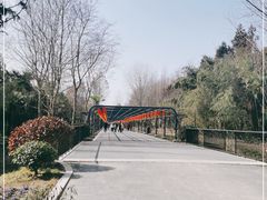 -东平国家森林公园