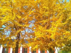 -辽宁大学(崇山校区)