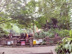 -成都市活水公园