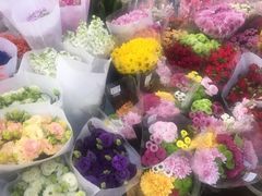 -秦美花卉(天朗·莱茵小城2期店)