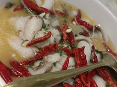 -Aqua Oasis 水天堂(常熟永旺店)