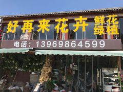-沪花拾者(好再来花卉鲜花店)
